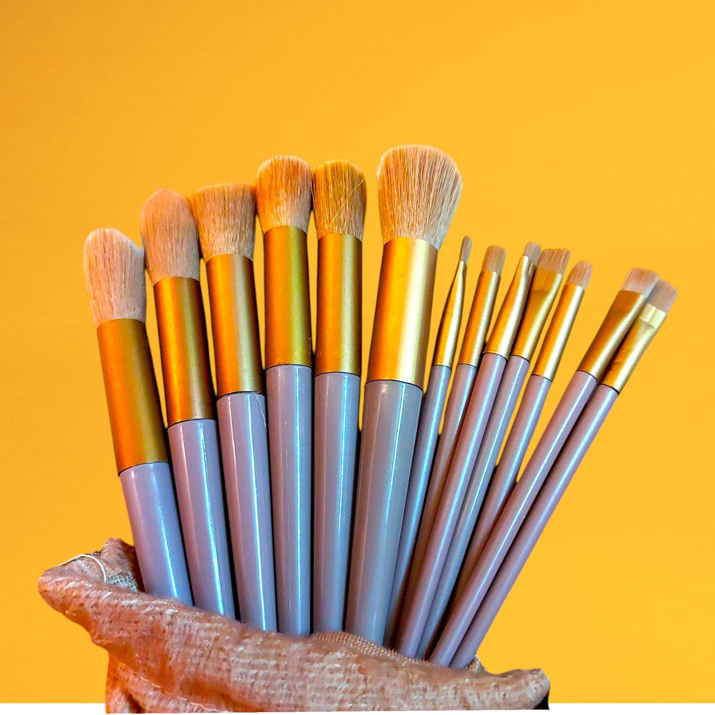 13 Pcs Makeup Brush Set – Soft Bristles for Face & Eye Makeup